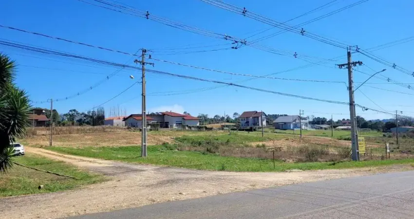 Terreno à venda na Avenida Ernesto Geisel, Colonia Witmarsum, Palmeira