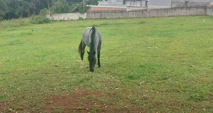 Terreno à venda na Rua Ubiratã, 85, Xaxim, Curitiba