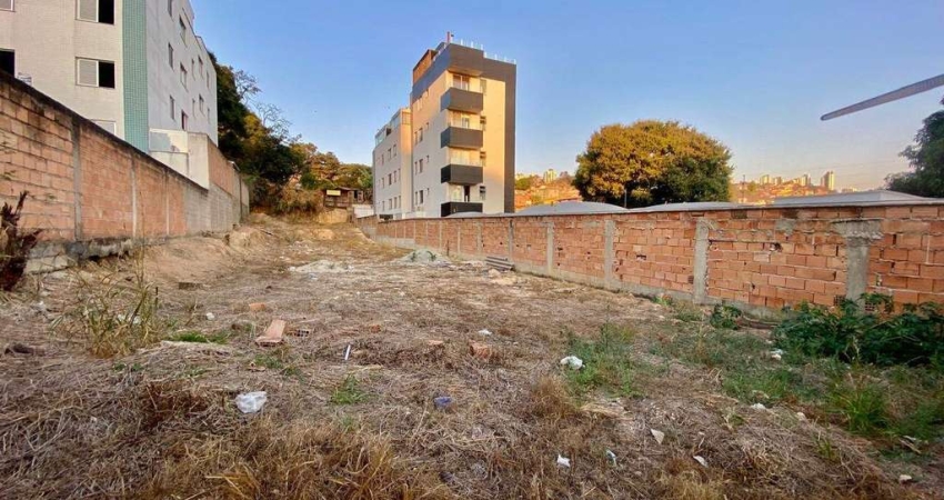 Terreno à venda na Rua Geraldina Cândida de Jesus, 81, Ouro Preto, Belo Horizonte