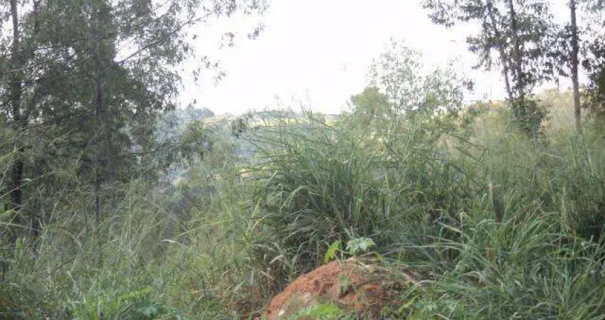 Terreno à venda, 20000 m² por R$ 1.425.000,00 - Bairro Cachoeira - Vinhedo/SP