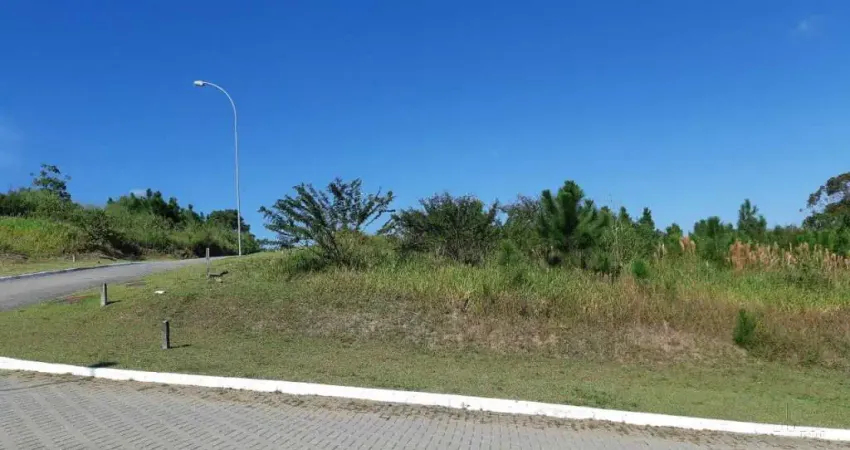 Terreno à venda na Rua Rodrigo Rampinelli Jeremias, Itacorubi, Florianópolis