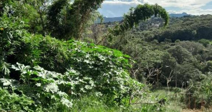 Chácara para Venda em São Joaquim de Bicas, SANTO ANTONIO, 1 dormitório, 1 banheiro