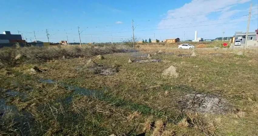 Terreno à venda na av . um lotamento danubio, Três Vendas, Pelotas