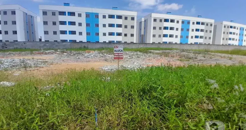 Terreno comercial para alugar na Rua João Carlos Espíndola, Nova Palhoça, Palhoça