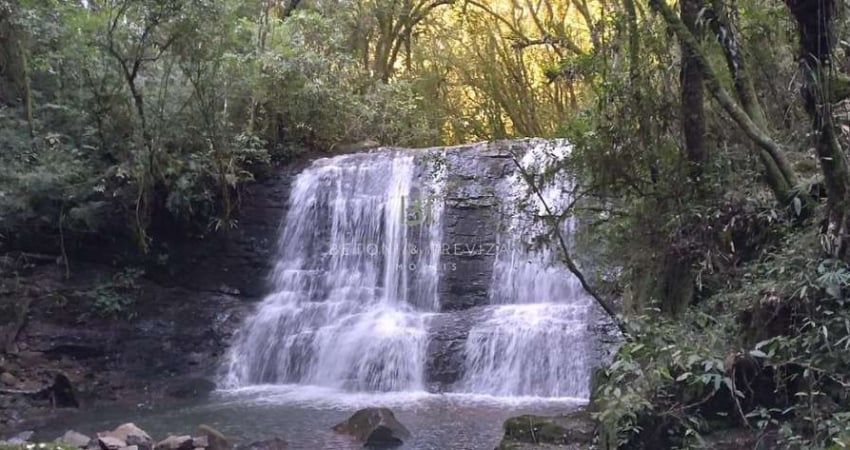 Ótima chácara em galópolis aceito carro e imovel de menor valor