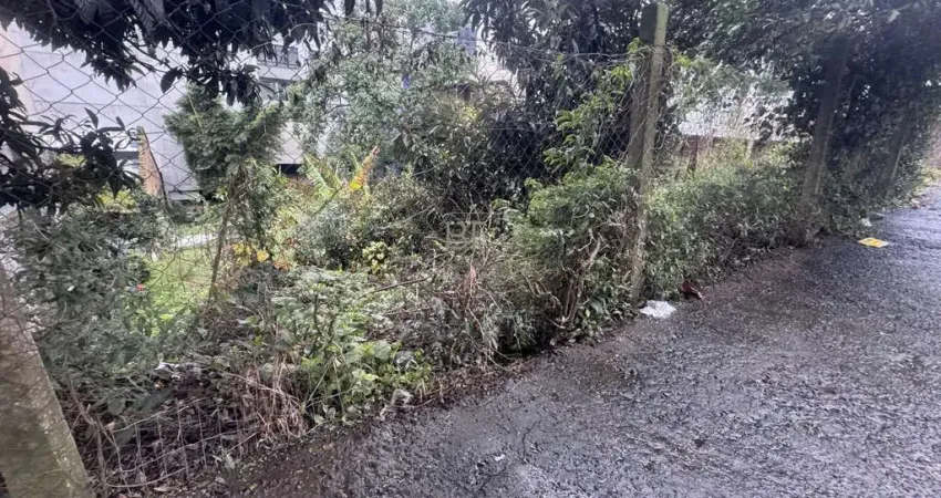 Terreno à venda na Rua Fermino Minghelli, 372, Panazzolo, Caxias do Sul