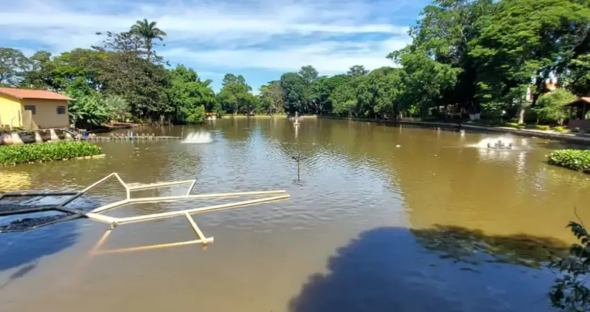 Casa em condomínio fechado com 4 quartos à venda no Independência, Ribeirão Preto 