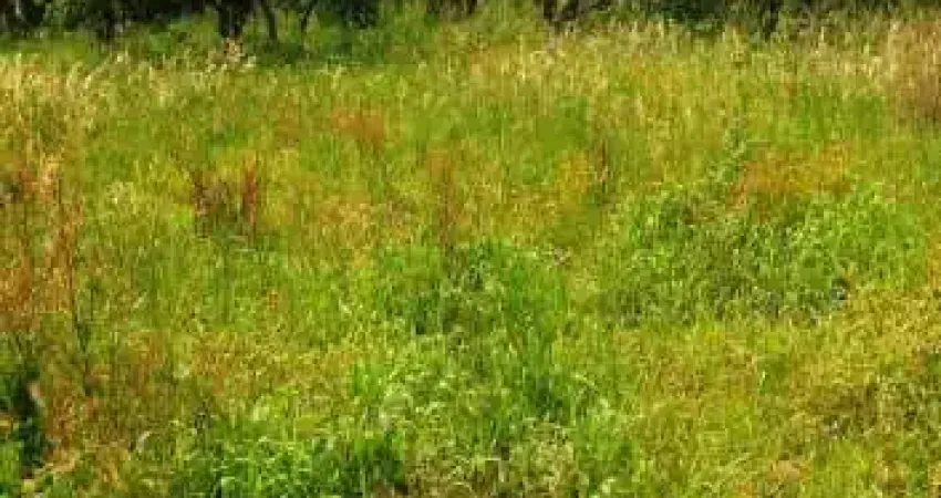 Terreno à venda na Vila São José, Esteio