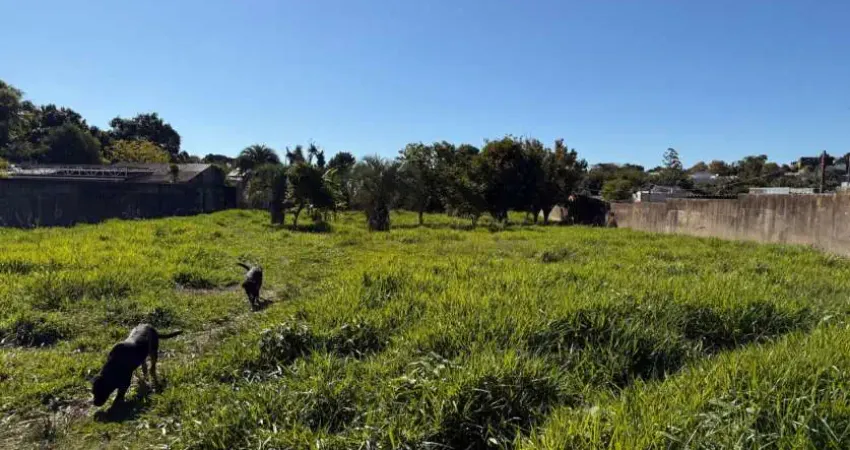 Terreno à venda na Rua José Loureiro da Silva, Vila Olímpica, Esteio