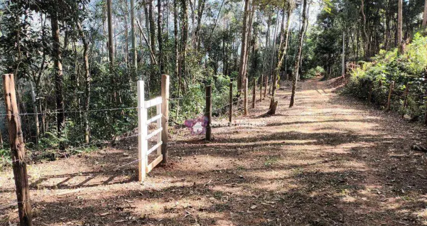 Terreno à venda, 5890 m² por R$ 200.000,00 - Bairro da Lagoa - Araçariguama/SP