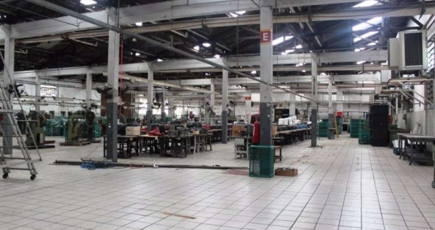 Galpão Comercial, Vila Ribeiro de Barros, São Paulo - GA0025.