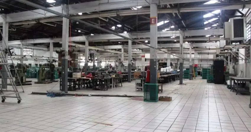 Galpão Comercial, Vila Ribeiro de Barros, São Paulo - GA0025.