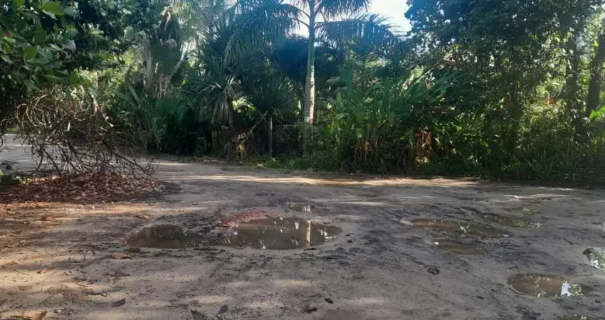 Terreno à venda na Praia do Itamambuca, Ubatuba 