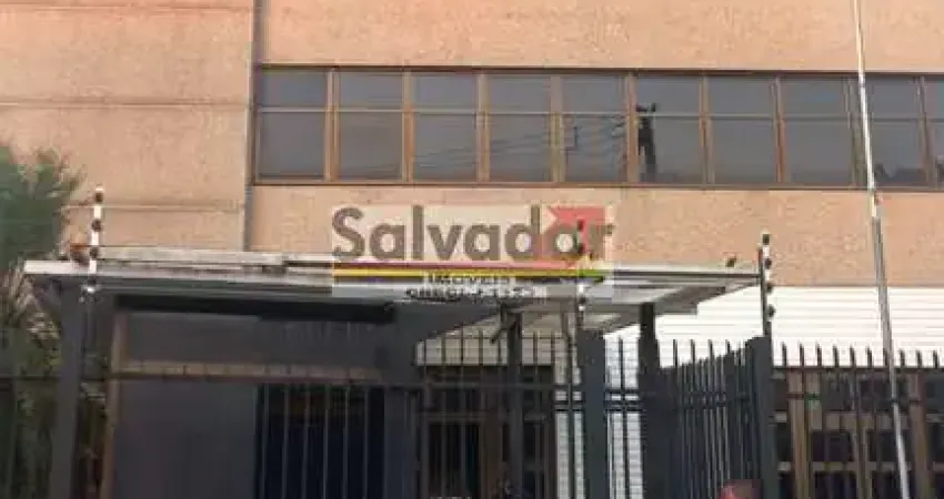 Ponto comercial para alugar na Avenida Santa Catarina, --, Vila Mascote, São Paulo