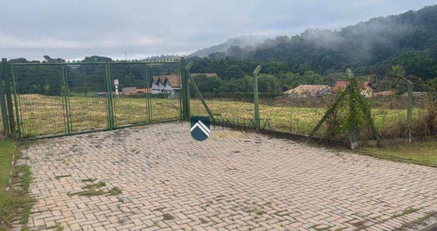 Terreno à venda, 4204 m² por R$ 1.500.000,00 - Caixa D´água - Vinhedo/SP
