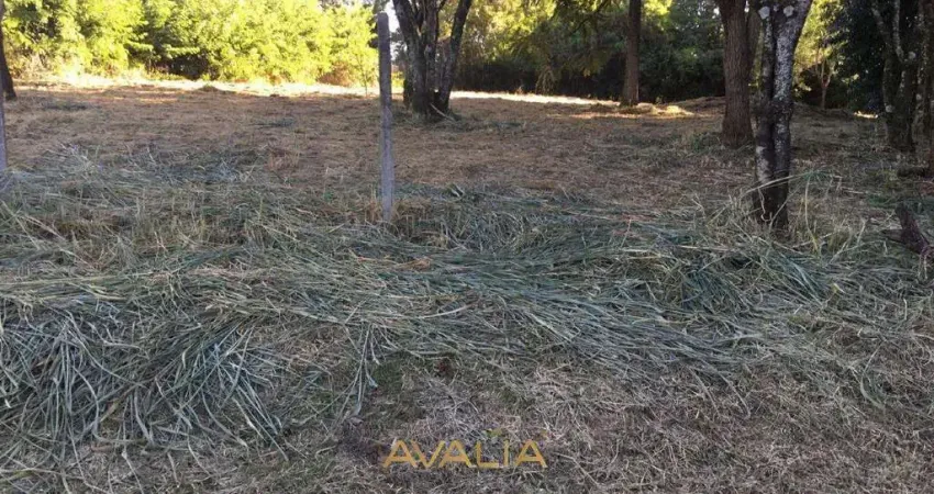 Chácara de 5.000 mt no Colinas do Mosteiro de Itaici (só terra)