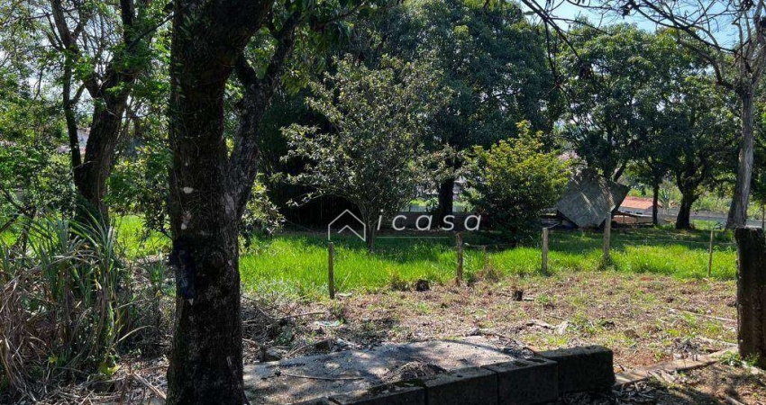 Chácara com 2 dormitórios à venda, 2210 m² por R$ 340.000,00 - Vila Menino Jesus - Caçapava/SP