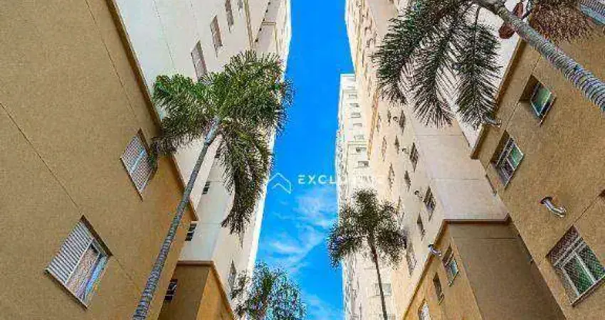 Apartamento com 3 dormitórios à venda, 77 m² por R$ 690.000,00 - Jardim Apolo - São José dos Campos/SP