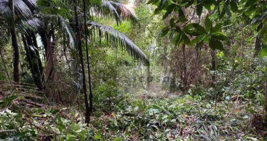 Terreno à venda, 300 m² por R$ 130.000,00 - Estufa II - Ubatuba/SP