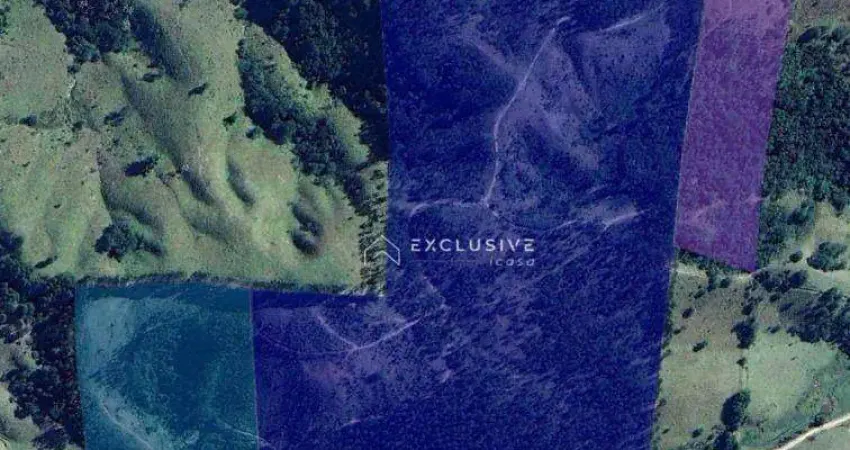 Área à venda, 484000 m² por R$ 1.200.000,00 - Zona Rural - Natividade da Serra/SP