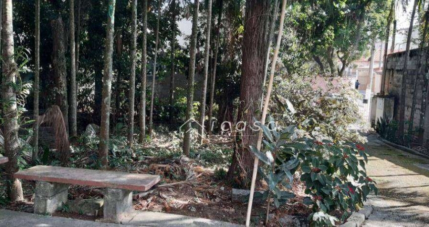Casa com 2 dormitórios à venda, 2.804 m² por R$ 1.800.000 - Vera Cruz - Caçapava/SP