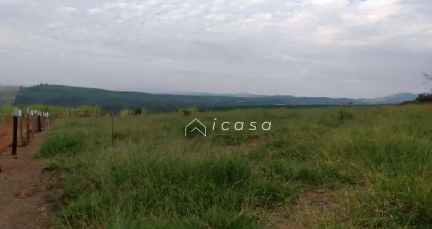 Terreno à venda, 1000 m² por R$ 138.300,00 - Jardim das Palmeiras - Caçapava/SP