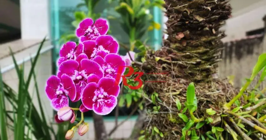 Apartamento com 2 dormitórios à venda, 70 m² por r$ 480.000,00 - campo grande - santos/sp