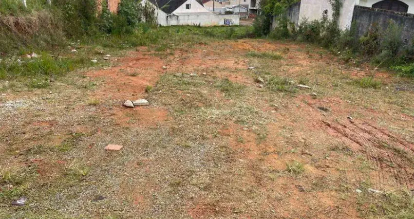 Terreno comercial à venda na Rua José Zen, Bom Jesus, São José dos Pinhais