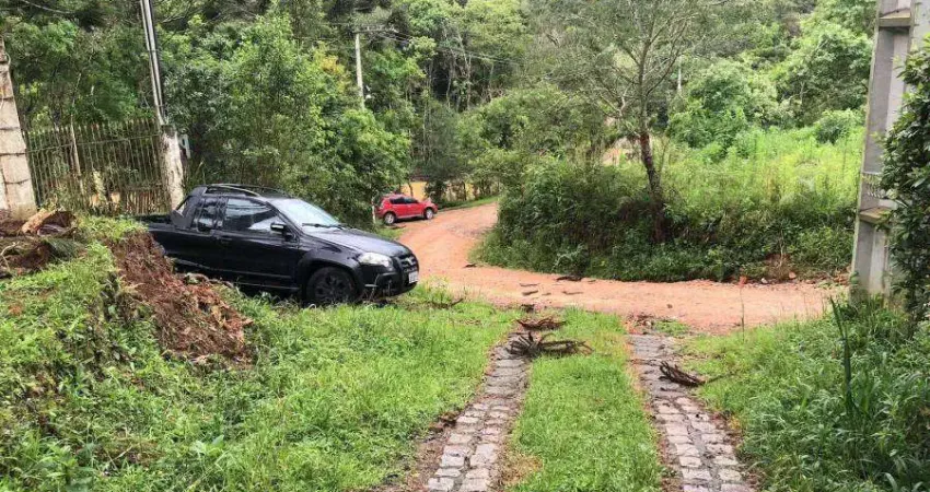 Chácara / sítio à venda na JOAO ANTONIA COMI, 000, Areia Branca dos Assis, Mandirituba