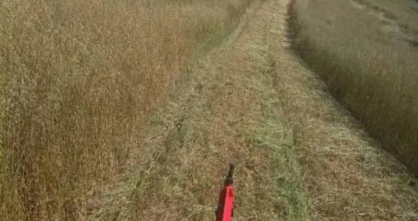 Chácara / sítio à venda na Rua Quinze de Novembro, Centro, Tijucas do Sul