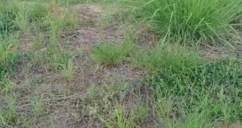 Terreno à venda, 314 m² por R$ 400.000,00 - Condomínio Jardim Siena - Indaiatuba/SP