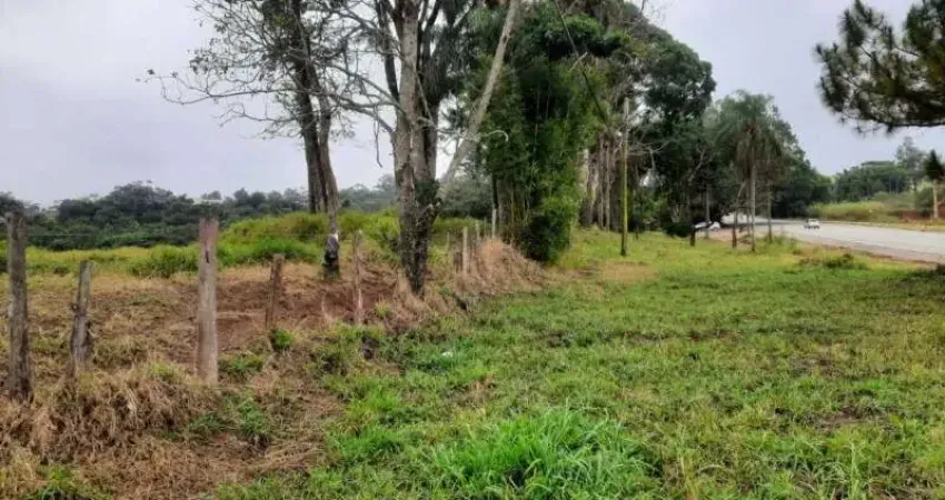 Área/terreno frente para rodovia à venda, 23.460 m² por r$ 6.000.000 - curitibanos - bragança paulista/sp