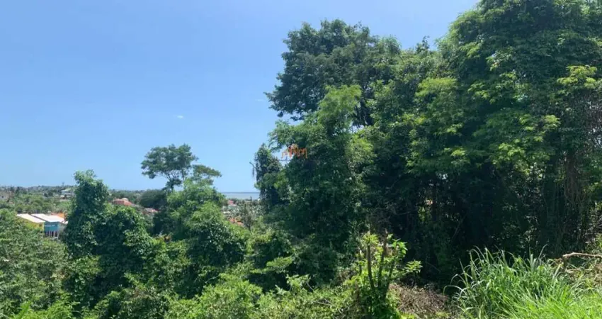 Terreno à venda na Rua das Saíras, Flamengo, Maricá