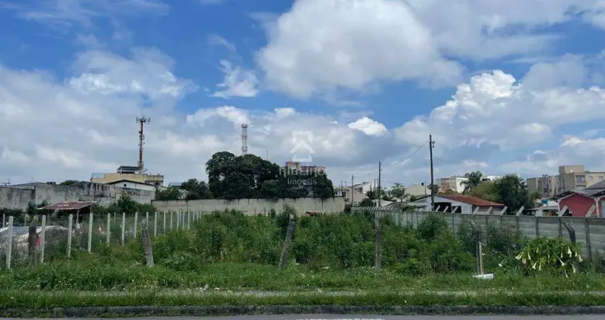Terreno comercial para alugar na Rua Quirino Zagonel, Itália, São José dos Pinhais