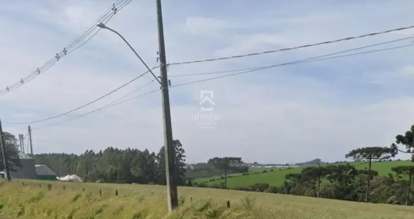 Terreno à venda na Jose Adamowicz, 239, Centro, Reserva