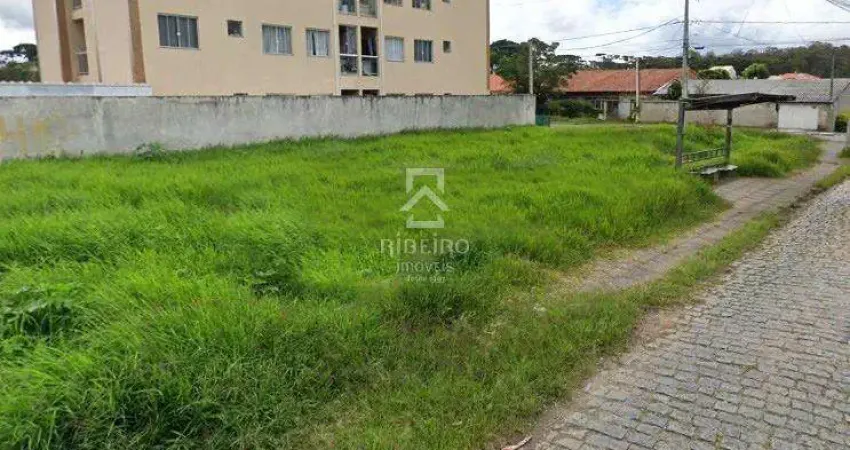 Terreno comercial para alugar na Rua Paulino Ferreira Bello, 434, Guatupê, São José dos Pinhais