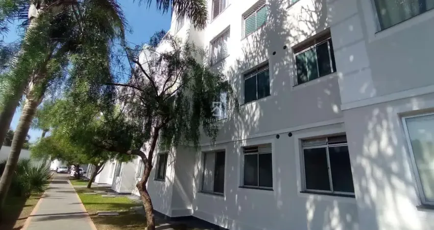 Apartamento com 2 quartos para alugar na Rua Adir Pedroso, 570, Iná, São José dos Pinhais