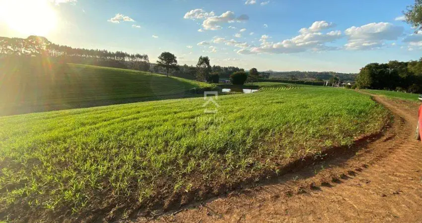Terreno à venda na Rua Júlio César Setenareski, 100, Colônia Mergulhão, São José dos Pinhais