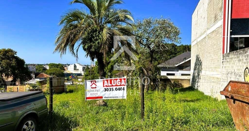 Terreno comercial para alugar na Rua Harry Feeken, 567, Boneca do Iguaçu, São José dos Pinhais