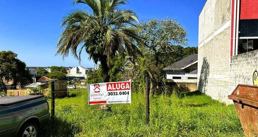 Terreno comercial para alugar na Rua Harry Feeken, 567, Boneca do Iguaçu, São José dos Pinhais
