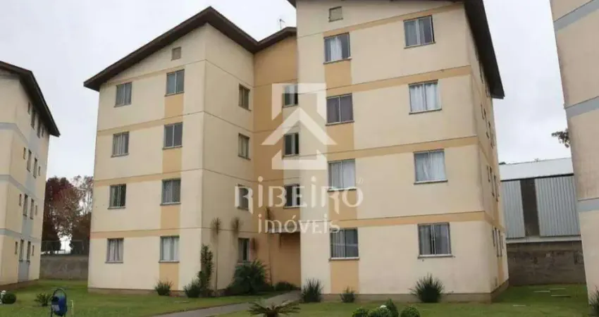 Apartamento com 2 quartos para alugar na Rua José Dolcídio Paris, 70, Iná, São José dos Pinhais