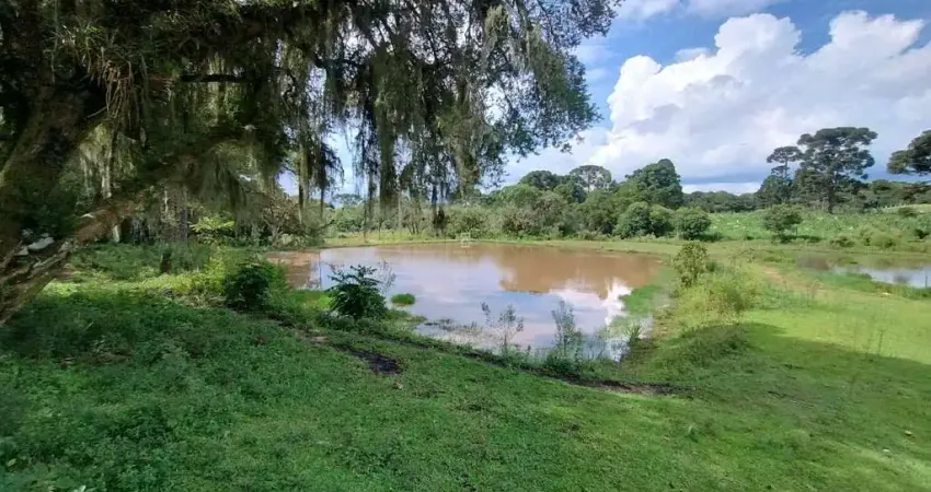 Chácara / sítio com 3 quartos para alugar na Henrique Cetnarski, 330, Colônia Malhada, São José dos Pinhais