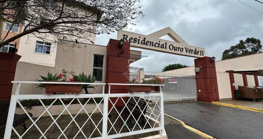 Apartamento com 3 quartos para alugar na Rua Professora Magali Aparecida Pampuch, 218, Pedro Moro, São José dos Pinhais