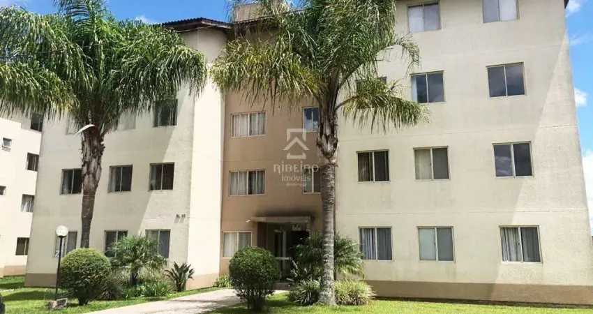 Apartamento com 3 quartos para alugar na Rua Adir Pedroso, 591, Iná, São José dos Pinhais