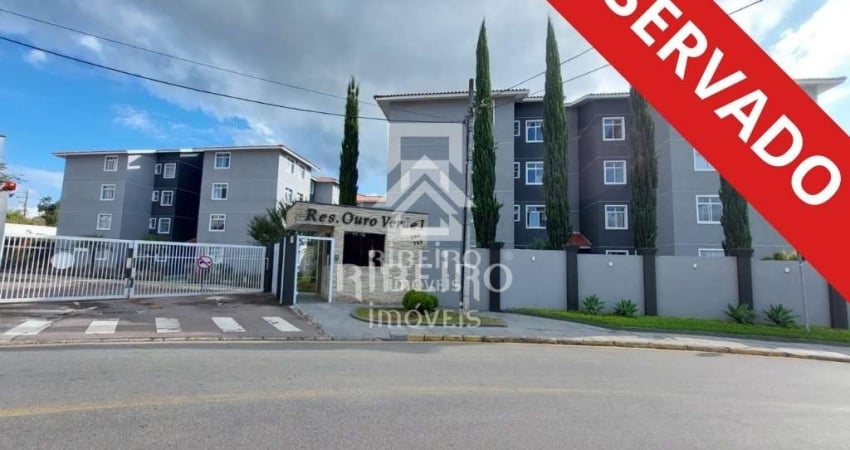 Apartamento com 3 quartos para alugar na Rua José Luciano, 390, Pedro Moro, São José dos Pinhais