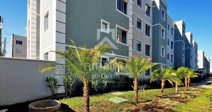 Apartamento com 2 quartos para alugar na Rua das Nações Unidas, 871, Cidade Jardim, São José dos Pinhais