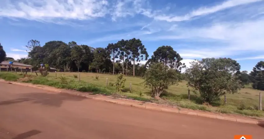 Chácara / sítio à venda na Avenida Epitácio Pessoa, Chapada, Ponta Grossa