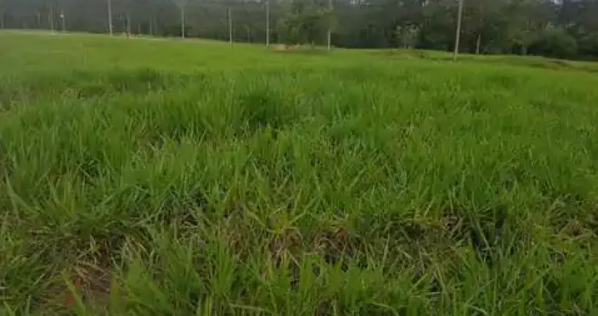 Maravilhoso Terreno