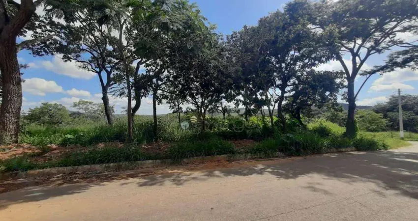 Terreno à venda, 527 m² por R$ 199.000 - Lagoinha de Fora - Lagoa Santa/MG