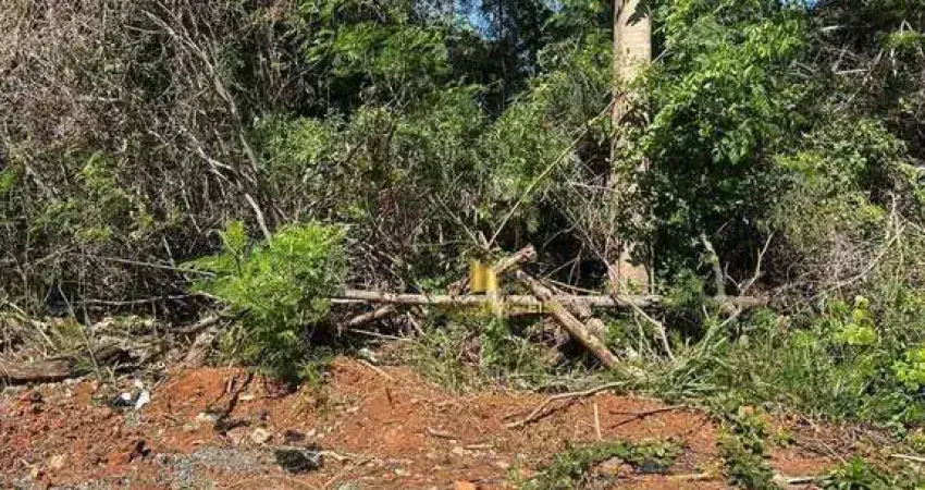 Terreno à venda na Rua das Árvores, 20, Jardim dos Lírios, Lagoa Santa